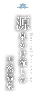 源泉かけ流しの天然温泉